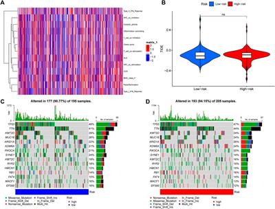 A novel cuproptosis-related lncRNAs signature predicts prognostic and immune of bladder urothelial carcinoma